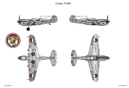 Curtiss P 40N 2 SMALL