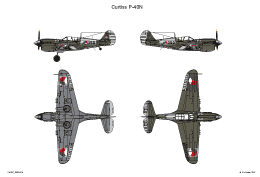 Curtiss P 40N 3 SMALL