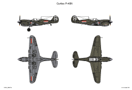 Curtiss P 40N 8 SMALL