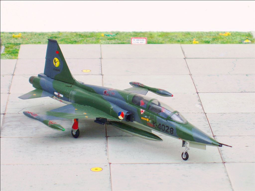 Northrop NF 5B 316 Sqn AKleijn