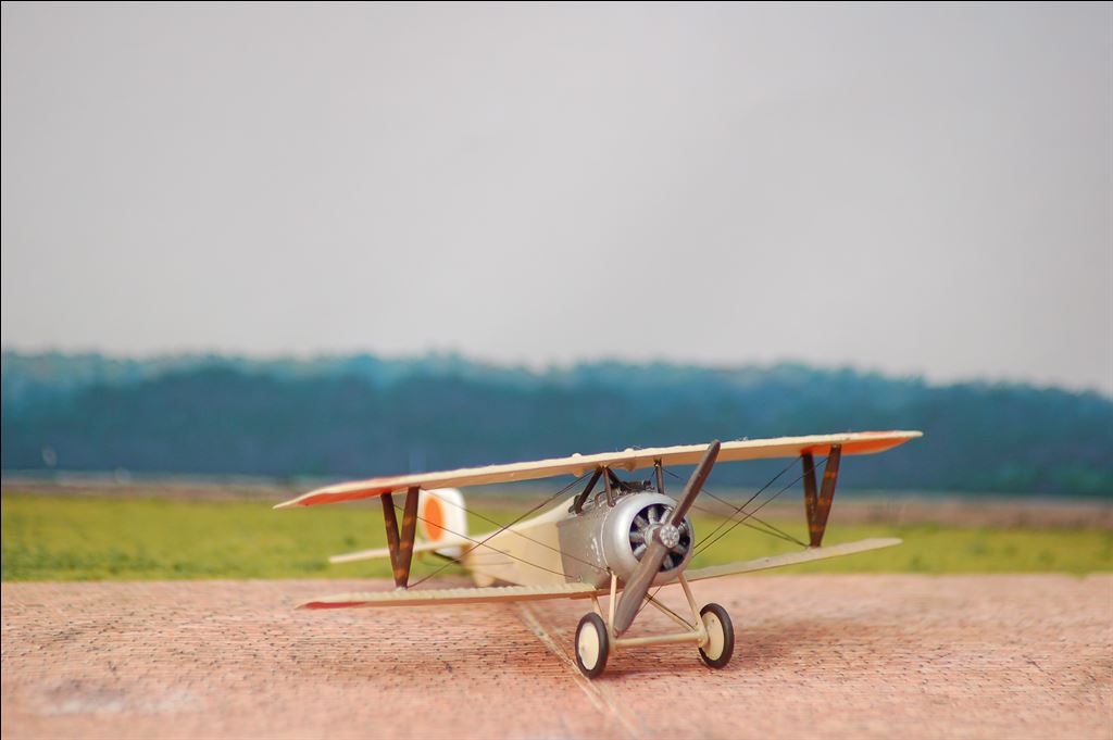 Nieuport 11 Peter Banis Nieuport 11 Peter Banis-4