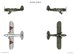 Ryan_STM2-MLKNIL-2-SMALL